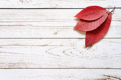 High angle view of red umbrella on wooden table