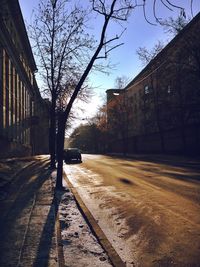 View of buildings along trees