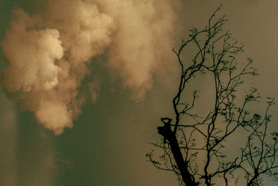 Low angle view of silhouette bare tree against sky at sunset