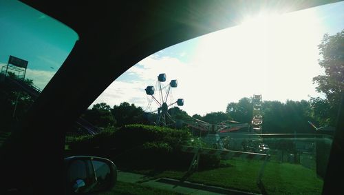 Sun shining through trees