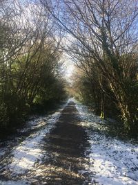 Road amidst trees in forest