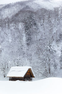 Wooden house with forest background covered by snow in the winter