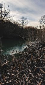 Scenic view of lake against sky