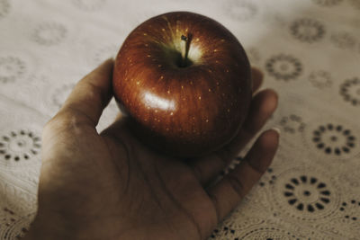 Close-up of hand holding apple