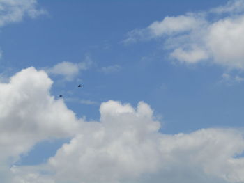 Low angle view of birds flying in sky