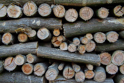 Full frame shot of logs in forest