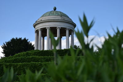 Low angle view of plants against clear sky