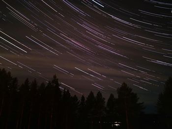 Low angle view of silhouette trees against sky at night