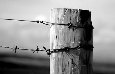 Close-up of barbed wire