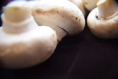 Close-up of food on table