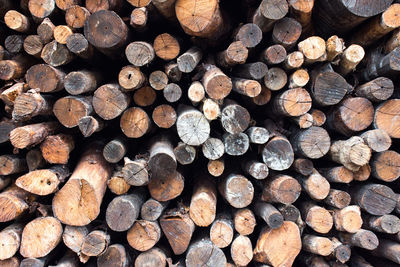 Full frame shot of logs