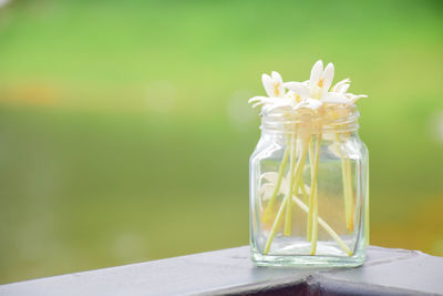 Close-up of glass jar on table