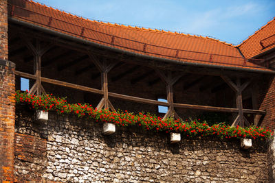 Low angle view of flowering plants on bridge against building