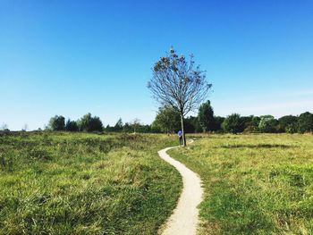 Scenic view of field against clear blue sky