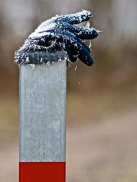 Close-up of ice on wooden post
