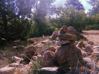 Stack of stones on rock in forest