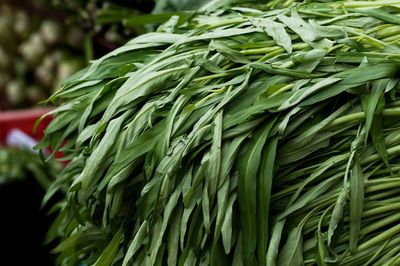 Close-up of vegetables at market for sale