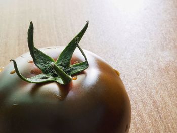 Close-up of succulent plant on table