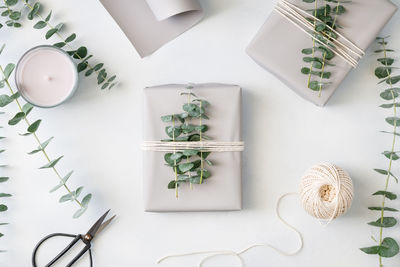 Close-up of gift boxes and plant on table