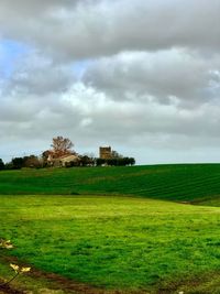 Scenic view of agricultural field against sky