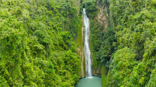 Scenic view of waterfall amidst trees in forest