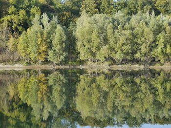 Reflection of trees in lake against sky