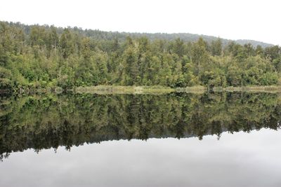 Scenic view of lake by trees against sky