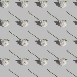 Full frame shot of flowering plant