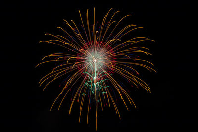 Low angle view of firework display against sky at night