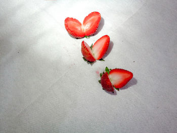 High angle view of red berries on table