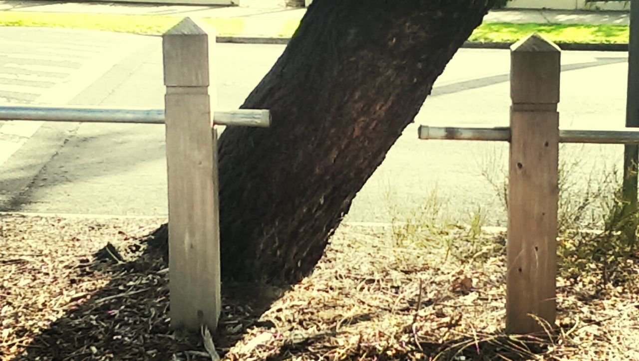 wood - material, field, grass, fence, tree trunk, sunlight, wooden, protection, safety, day, no people, tree, built structure, close-up, outdoors, old, security, growth, pole, nature