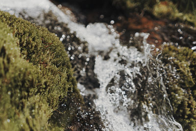 Close-up of water flowing on rock