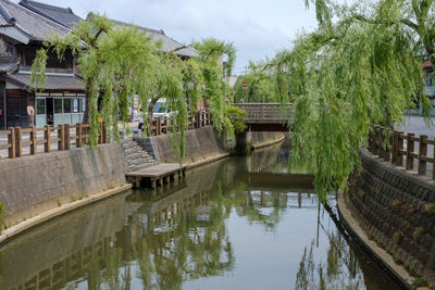 Bridge over canal amidst trees and buildings