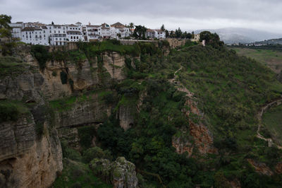 Panorama of andalusian landscape with olive trees and fields seen from ronda, spain