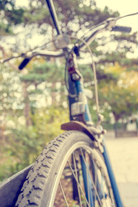 Close-up of bicycle on tree