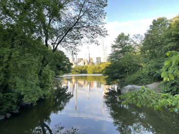 Reflection of trees in lake against sky