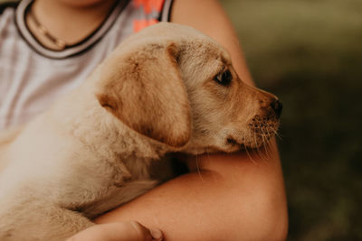 Close-up of woman with dog relaxing at home