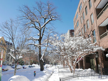 snow