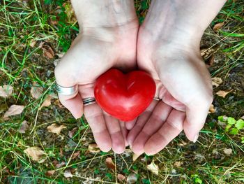 High angle view of hand holding heart shape on field