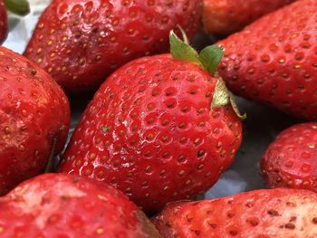 Close-up of strawberries