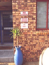 Potted plant against brick wall