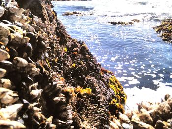 Rocks in sea