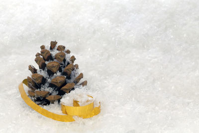 High angle view of cupcakes against white background