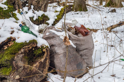 Bags of trash in the woods. plastic is scattered in the forest. garbage in the forest in winter.