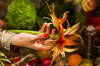 Close-up of hand holding red flower