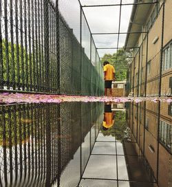 Chainlink fence