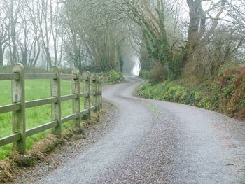 Road amidst trees