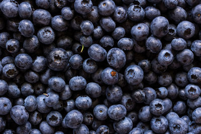 Heaping pile of organic blueberries.