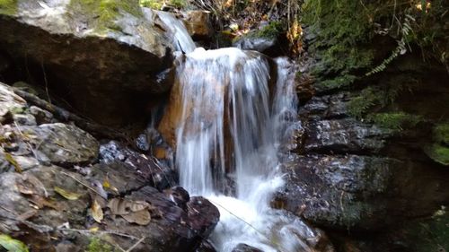 View of waterfall in forest