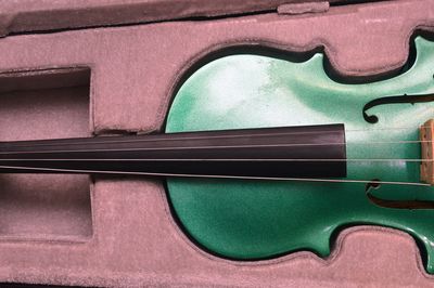 violin